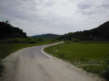 美利河種別林道