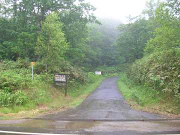 美利河種別林道