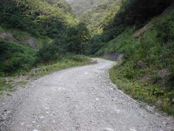 牛首林道