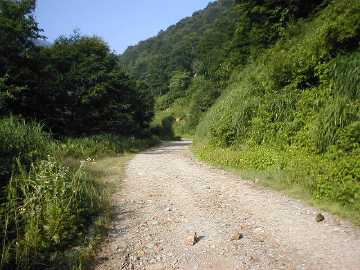 牛首林道