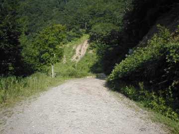 牛首林道