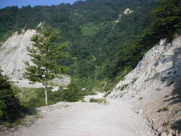 牛首林道