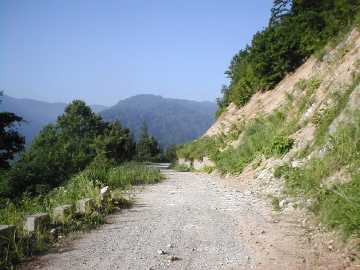 牛首林道