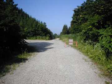 牛首林道