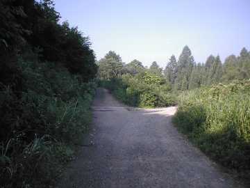 牛首林道