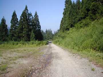 牛首林道