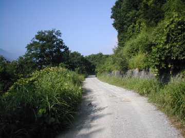 牛首林道