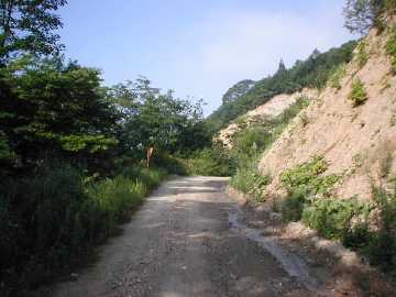 牛首林道