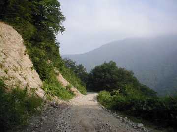 牛首林道