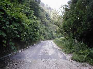 牛首林道
