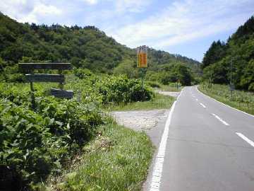 トンガリチリチリ林道