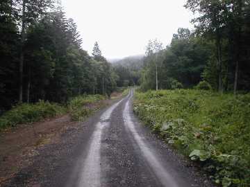 平の沢林道
