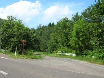 平の沢林道