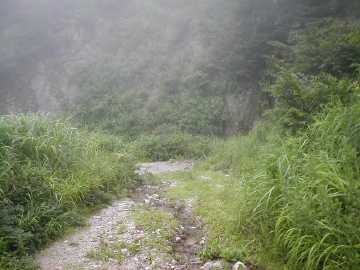 獅子越林道