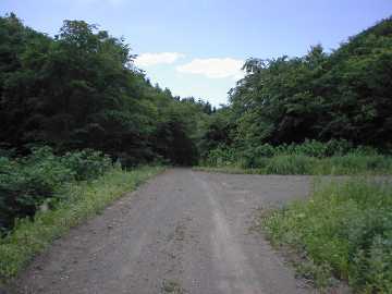 幌内林道