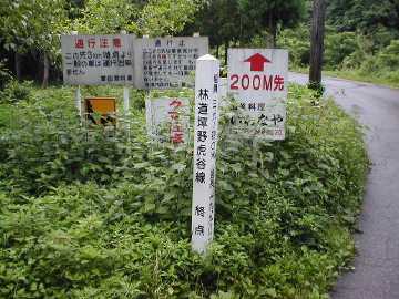 坪野虎谷林道