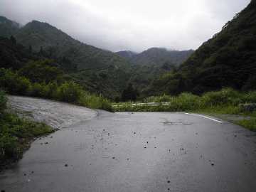 坪野虎谷林道