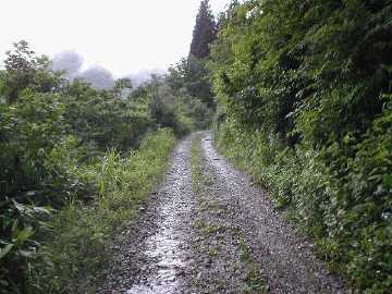 坪野虎谷林道