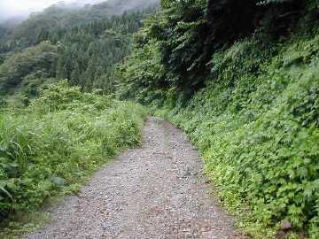 坪野虎谷林道