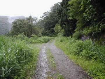 坪野虎谷林道