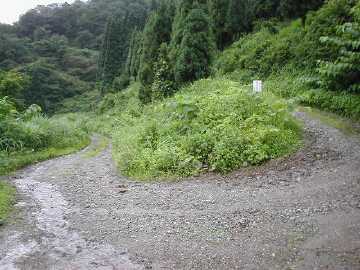 坪野虎谷林道