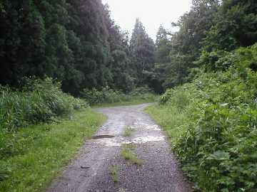 坪野虎谷林道