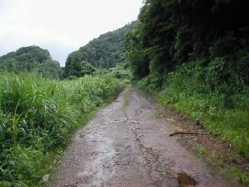 坪野虎谷林道