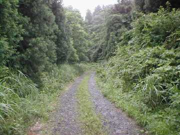 坪野虎谷林道