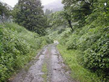 坪野虎谷林道