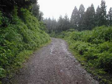 坪野虎谷林道