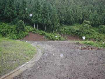 坪野虎谷林道