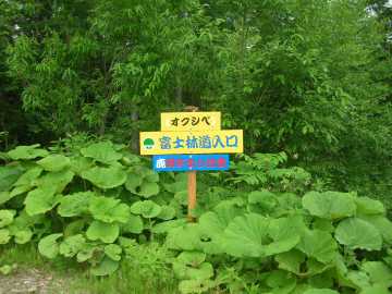 富士林道