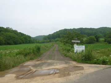 計露岳林道