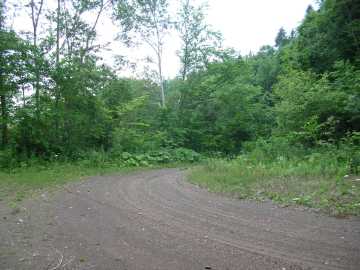 計露岳林道