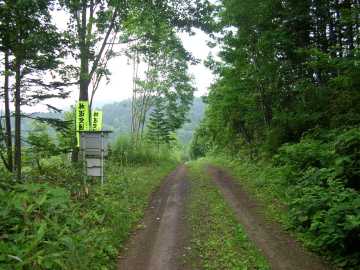 計露岳林道