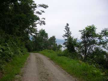 屈斜路湖畔林道