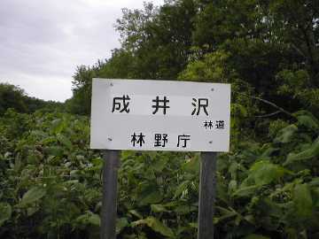 成井沢林道