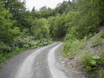 成井沢林道