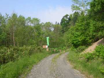 成井沢林道