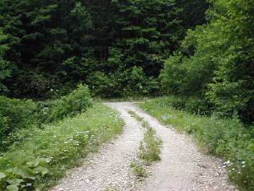 ニイタップ林道・山影林道