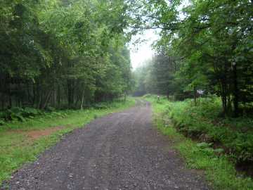 温根林道