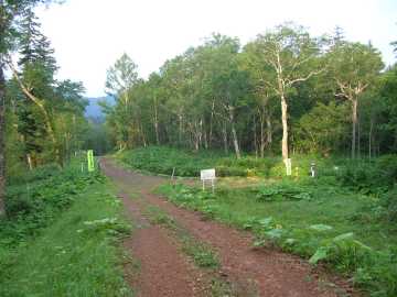 温根林道