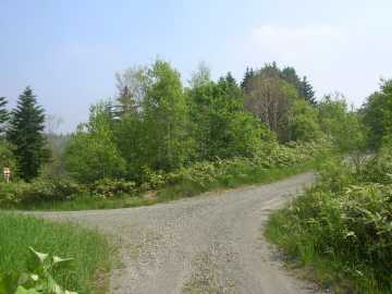 三線沼林道