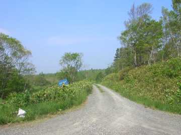 三線沼林道
