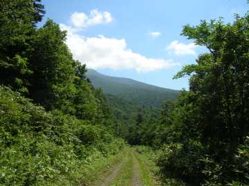 斜里岳林道