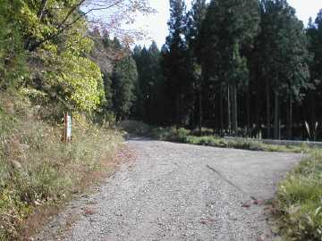 舟見高室林道