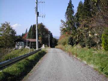 舟見高室林道