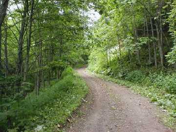 ウラシマナイ林道・大山林道