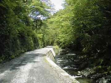 県道八溝線