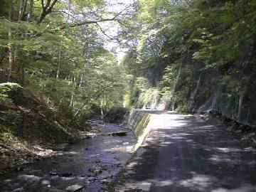 県道八溝線